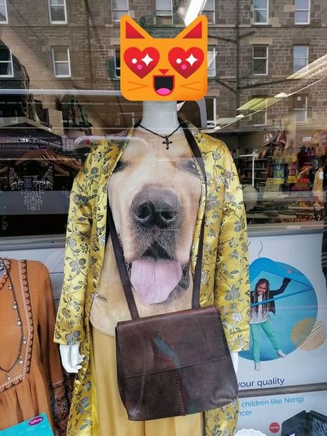 12 of the very weirdest charity shop items ever found in Edinburgh - Edinburgh Live Charity Shopping, Pirate Bedding, Medical Antiques, Charity Shop Finds, Charity Shops, Salvation Army, Charity Shop, Pirate Theme, National Treasure