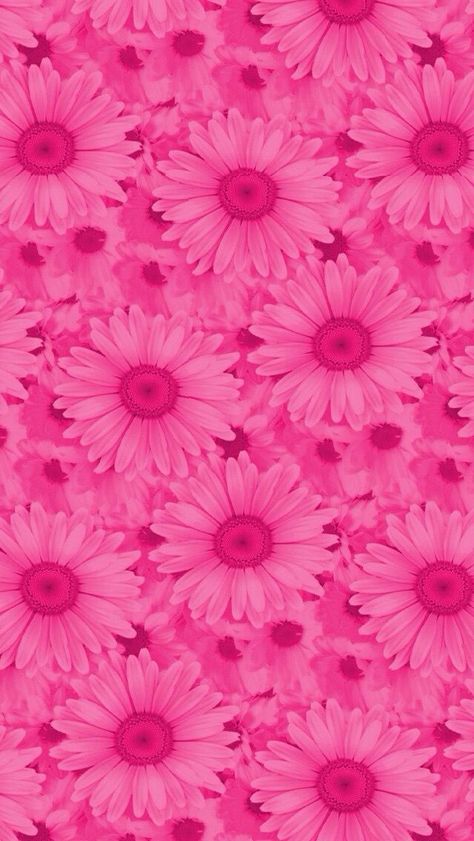 Hot Pink Wallpaper, Pink Daisies, Floral Wallpaper Iphone, Pink Wallpaper Backgrounds, Flowery Wallpaper, Wallpaper Tumblr, Flower Background Wallpaper, Beautiful Flowers Wallpapers, Pink Wallpaper Iphone