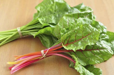 Fructose Free Vegetables Pasta With Leeks, Swiss Chard Pasta, Chard Pasta, Growing Swiss Chard, Fructose Free, Spring Crops, Creamed Leeks, French Lentils, Veggie Gardens