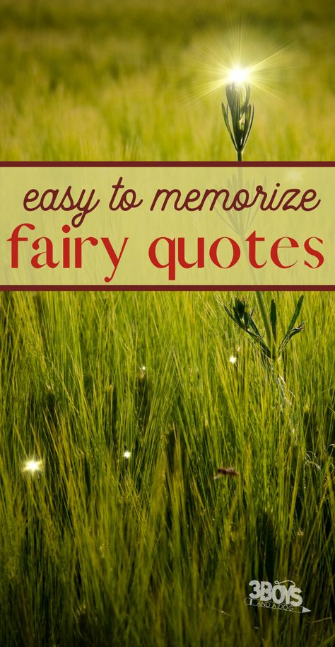 easy to memorize fairy quotes Fairy Wishes, Cute Fairy Quotes, I Believe In Fairies, Tinkerbell Sayings, Fairy Poems Beautiful, Fairy Garden Quotes, Faerie Quotes, Fairy Sayings Favorite Quotes, Fairy Garden Signs And Sayings