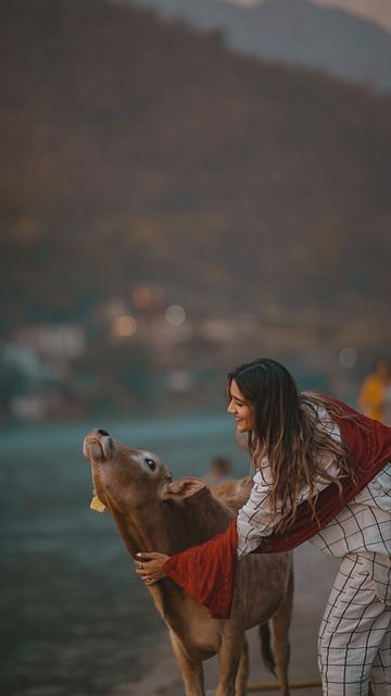 Larissa D’Sa 🐆Travel•Lifestyle 🇮🇳 on Instagram: "When I was a little kid and we went to Mangalore twice every year because my ancestral house was there, I had a fair share of my time with our cattle. We had 3-4 cows and there was always a calf when I visited… We had our milk from our cowshed itself, and that milk was weird for me because we were so used to drinking packaged milk, but eventually it grew on me.😜 One day, a cow had a delivery and I was one of the people waiting outside the deli Cattle Rearing, Indian Cow, Ancestral House, Mangalore, A Cow, Travel Lifestyle, Animals Friends, One Day, Cow