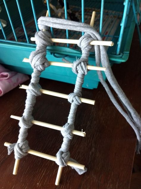 Easy homemade small bird ladder. Great for small birds from parakeets to cockatiels. I used items i had around the house.  Items 1. Old t-shirt 2. Scissors to cut long pieces like rope from the t-shirt 3. Chopsticks (4sets) 4. An item to cut 3 set of   chopsticks in half Diy Pet Bird Toys, Diy Cockatiel Toys, Homemade Bird Toys, Diy Parrot Toys, Cockatiel Toys, Bird Ideas, Parakeet Toys, Diy Bird Toys, Parakeet Cage