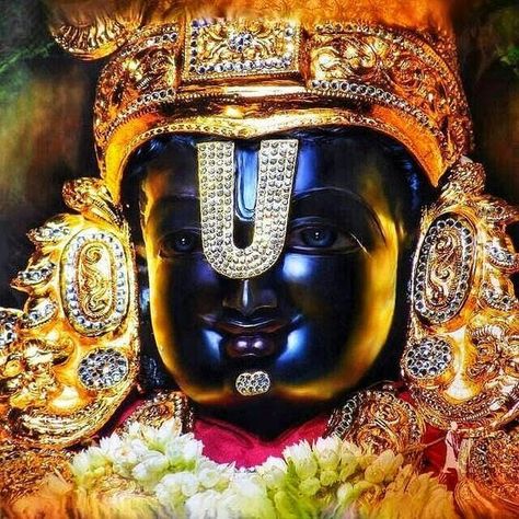 Tirumala Tour Package from Chennai, Chennai to tirupati tour packages, Tirumala Darshan Package Tirupati Balaji, Hd Wallpapers, Chennai, Wallpapers, Flowers