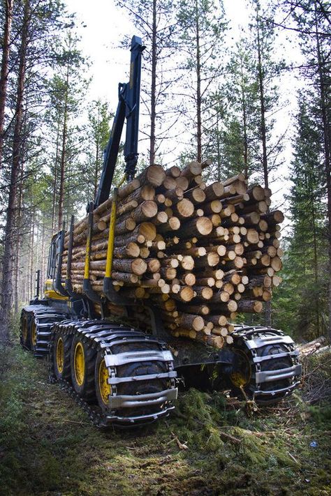 Arborist Gear, John Deere Tractors Farms, Logging Trucks, Logging Equipment, Heavy Construction Equipment, Forestry Equipment, Farm Machinery, New Photo Download, Types Of Vehicle