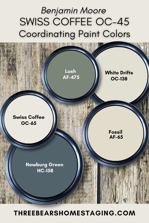 Benjamin Moore Swiss Coffee, Coordinating Paint Colors, Sea Salt Sherwin Williams, Swiss Coffee, House Paint Interior, Off White Paints, Paint Color Inspiration, House Color Palettes, Paint Color Schemes