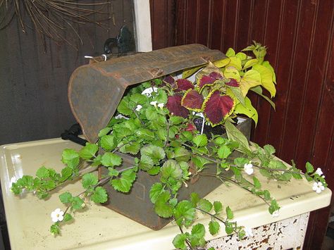 Old Lunch Boxes Decorating With, Patio Container Gardening, Antique Booth Displays, Creative Planter, Vintage Lunch Boxes, Rustic Vintage Decor, Gardening Projects, Greenery Arrangements, Antique Booth