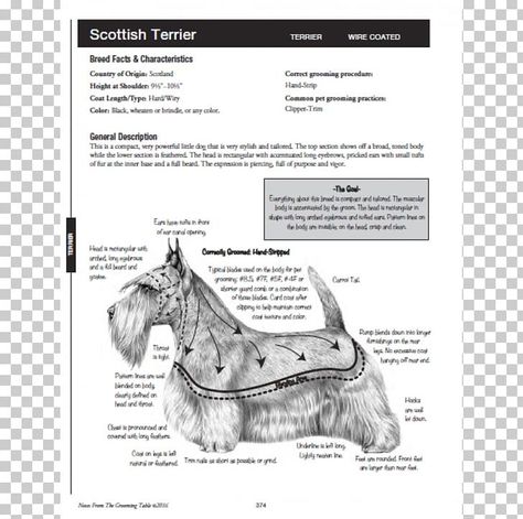 Cockapoo Grooming, Cocker Spaniel Grooming, Dog Grooming Diy, Table Miniature, Schnauzer Grooming, Grooming Table, Dog Grooming Styles, Schnauzer Mix, Scottie Terrier