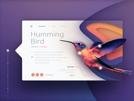 The Small Bird Ux Design Inspiration, Web Ui Design, Web Design Tips, Web Inspiration, Ui Design Inspiration, Web Layout Design, App Ui Design, Web Layout, Ux Web Design