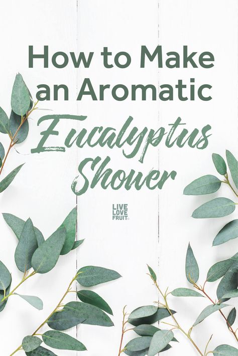 Ever thought of making yourself a eucalyptus shower? Eucalyptus is prized for it's medicinal and aromatic properties. Here's how to do it! #eucalyptus #selfcare #shower #bath #bathroom #eucalyptusshower #essentialoil Fresh Eucalyptus Shower Benefits, How To Make A Eucalyptus Shower Bundle, Eucalyptus Shower Bundle, Eucalyptus Bathroom Theme, Bathroom Eucalyptus, Shower Eucalyptus, Eucalyptus Shower Head, Eucalyptus Plant Indoor, Types Of Eucalyptus