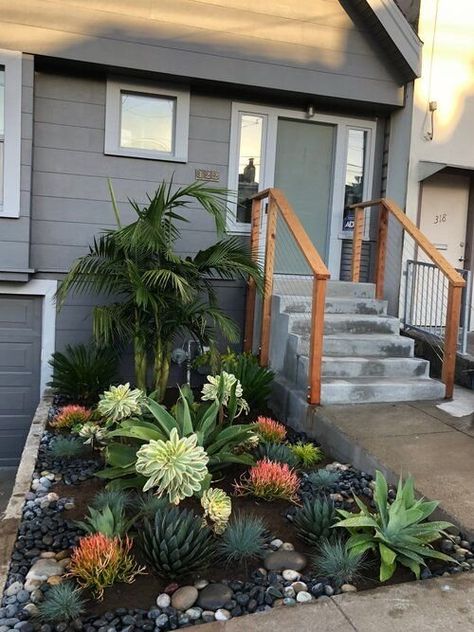 Landscape Yard Design, Sacculant Plants Garden, Agave Landscaping Front Yards, Landscaping With Agave Plants, Succulent Garden Design Pots & Planters, Plant Placement Landscaping, Agave Plant Landscaping Front Yards, Succulent Landscape Design Front Yards, Succulent Garden Design Outdoors