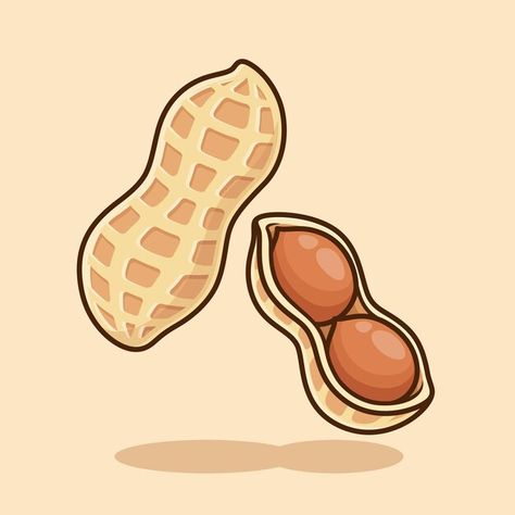 Cute peanut vector cartoon design illustration 🥜 Peanut Graphic Design, Peanut Cartoon Art, Peanut Logo Design, Peanut Aesthetic, Peanut Drawing, Peanut Illustration, Peanuts Illustration, Nut Illustration, Nuts Illustration