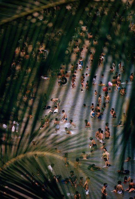 Here Are Some Of The Coolest National Geographic Photos That Were Never Published National Geographic Photography, Cabana Magazine, Palm Fronds, Daily Pictures, Historical Images, National Geographic Photos, On Film, Wild Hearts, National Geographic