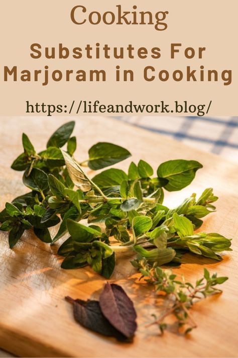 Substitutes For Marjoram in Cooking Substitute For Marjoram, Marjoram Substitute, Dishes Around The World, Homemade Chicken Soup, Cooking Substitutions, Roasted Root Vegetables, How To Make Pesto, Herbal Recipes, Ingredient Substitutions