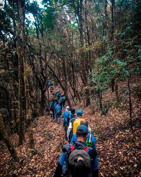 If meditation is not your thing, try a walk in the woods💚💚 #wandering #hiking #photography #wanderer #travel #intothewoods #nature #nepal #ktm #travelnepal #meditation #lightroom #friends #lifestyle #hike #foresttrail #hikingtrails #trails #group #forest #natural #greenary #blogger #blog #time #tiktok Friends Lifestyle, Group Meditation, Forest Walk, Outfit Hiking, Hiking Photography, Nepal Travel, A Walk In The Woods, Forest Trail, Walk In The Woods