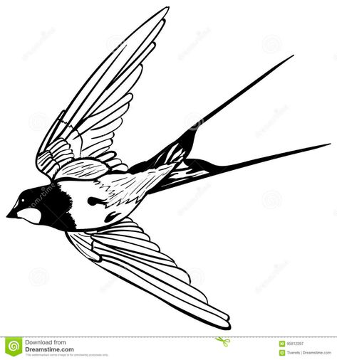 Vector Silhouette Flying Swallow Stock Vector - Illustration of icon, drawing: 95812297 Cool Tattoos With Meaning, Lip Print Tattoos, Sparrow Tattoo Design, Swallow Tattoo Design, Background Sketch, Side Thigh Tattoos, Sparrow Tattoo, Tatoo Inspiration, Bull Tattoos