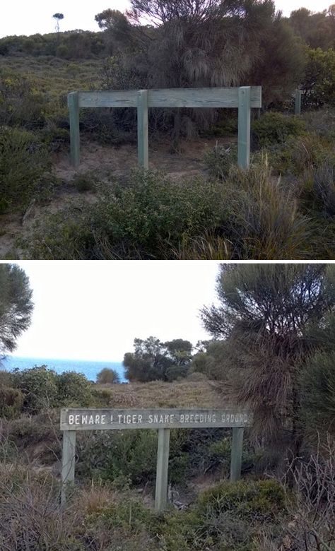 Walked Up On The Back Of This Sign While Hiking In Australia... Snake Breeds, Meanwhile In Australia, Places In Australia, Australia Pictures, Saltwater Crocodile, Scary Animals, Hidden Places, Jurassic World, A Sign