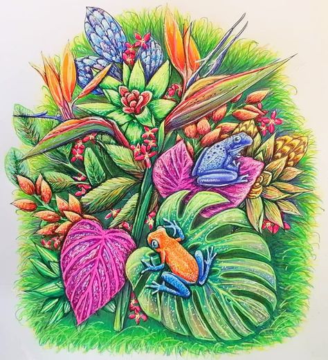 Flowerscape Coloring, Maggie Enterrios, 4000 Followers, Colored Pencil Art Projects, Dart Frogs, Faber Castell Polychromos, Poison Dart, Dart Frog, Coloring Tips