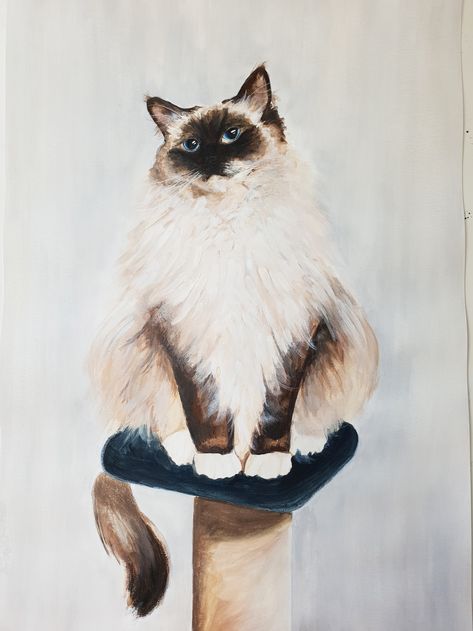 My first cat painting portrait - Taco the ragdoll! Christmas Cat Acrylic Painting, Rag Doll Cat Drawing, Ragdoll Cat Painting, Ragdoll Cat Illustration, Ragdoll Cat Tattoo, Ragdoll Cat Drawing, Ragdoll Cat Art, Nebelung Cat, Ragamuffin Cat