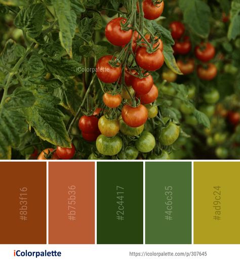 Color Palette ideas #icolorpalette #colors #inspiration #graphics #design #inspiration #beautiful #colorpalette #palettes #idea #color #colorful #colorscheme #colorinspiration #colorcombinations #colorcombos Vegetables Color Palette, Vegetable Colour Palette, Salad Color Palette, Tomato Color Palette, Vegetable Color Palette, Food Colour Palette, Fruit Color Palette, Food Color Palette, Garden Color Palette