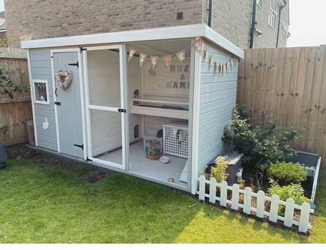 Rabbit Hutches Outdoor, Bunny Shed Ideas, Outside Rabbit Enclosure, Outdoor Bunny Enclosure, Rabbit Shed Ideas, Bunny House Outdoor, Outdoor Bunny Habitat, Rabbit Hutch Ideas, Pet Bunny House