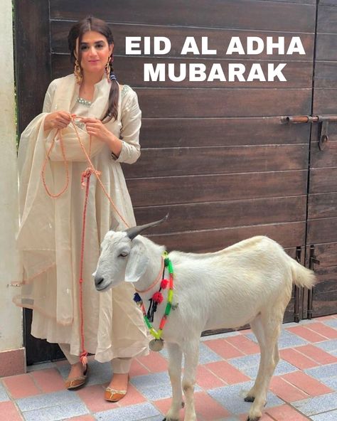 Eid Mubarak Bakra Eid Mubarak Video, Eid Mubarak Video, Friends Hijab, Bakra Eid Mubarak, Quran Ramadan, Bakra Eid, Eid Al-adha Mubarak, Simple Pakistani Dresses, Arabic Calligraphy Art