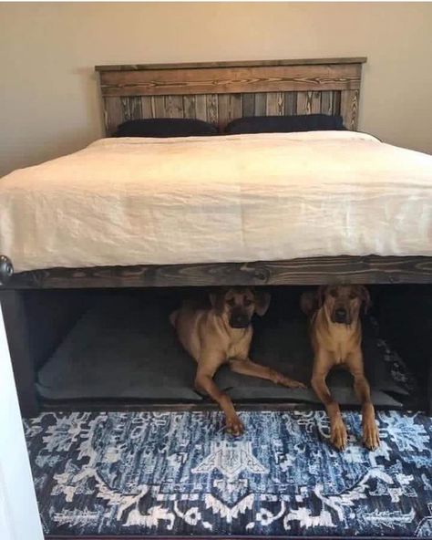 Tiny House inspiration 🏠 on Instagram: “A place to sleep for your guardian angels, who are actually protecting you from monsters under the bed. 📸 by @knotandgrain If you…” Built In Dog Bed, Bedframe Diy, Dog Bedroom, Head Boards, Diy Dog Bed, Space Bedding, Diy Bed Frame, Diy Vanity, Dog Rooms