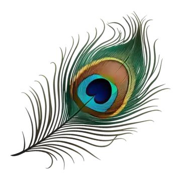 creative peacock feather logo,single peacock bird feather,peacock feather,feather,peacock,wings,green peacock,peacock feather pattern,feathers falling,beautiful feather,quill,peacock ling,feather decoration,colored feathers,creative,birds,a feather,feathers,colorful peacock feathers,animal feather,decoration,beautiful,hand painted,cartoon,hand,colored,painted,ai generated Peacock Feather Outline, More Pankh, Peacock Feather Logo, Peacock Feather Decor, Feather Png, Feather Outline, Peacock Wings, Peacock Feather Art, Feather Peacock