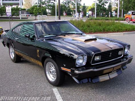 1976 Mustang Cobra | 1976 Mustang Cobra II - Ultimatecarpage.com - Images, Specifications ... Ford Mustang Cobra, Mustang Ii, Mustang Cobra, Ford Classic Cars, Shelby Cobra, Mustang Cars, Pony Car, Pontiac Gto, Mustang Shelby