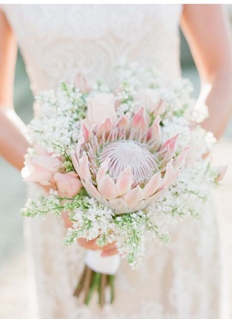 Trend Alert: 20 Gorgeous Protea Bouquets Pretty Wedding Bouquet, Protea Wedding, Protea Bouquet, Veils Bridal, Diy Bridal Bouquet, Bridal Bouquet Flowers, Diy Bridal, Bridal Musings, Jewelry Hair