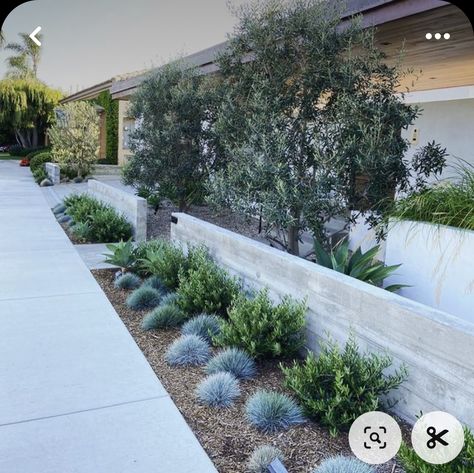 Retaining Wall Garden Front Yard, Colorado Landscaping, California Landscaping, Curb Appeal Landscape, Australian Native Garden, Front Garden Landscape, Landscaping Retaining Walls, Front Garden Design, Australian Garden