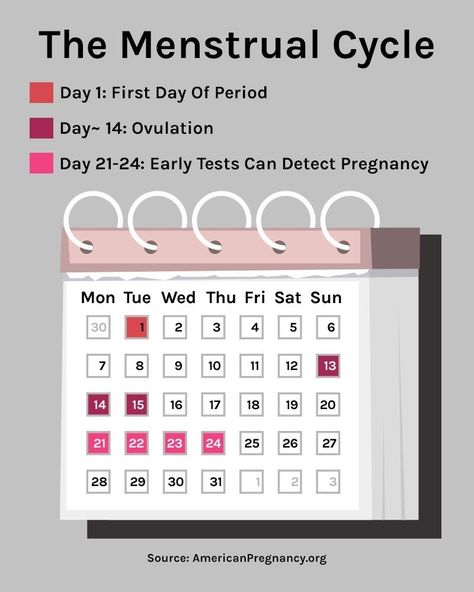 Perky 3 Month Ovulation Calendar Calculator Calendars can be bought in PDF together with Ms Message formats. Specific date for launch of notification, however, might change. Please note the reve... Menstrual Cycle Calendar, Period Journal, What Is Ovulation, Cycle Chart, Ovulation Symptoms, Fertility Calendar, Ovulation Calendar, Ovulation Calculator, Pregnant Tips