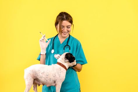 Geriatric Care, Presentation Slides Design, Animal Health, Pet Clinic, Love Your Pet, All About Animals, Yellow Walls, Animal Hospital, Pet Health