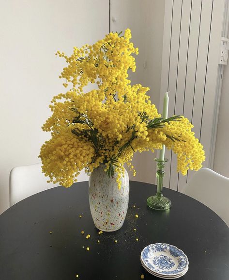 J x L Insta Aesthetic, Mimosa Flower, Women Day, 8 March, Mimosa, Aesthetic Photo, Spring Flowers, Glass Vase, Vase