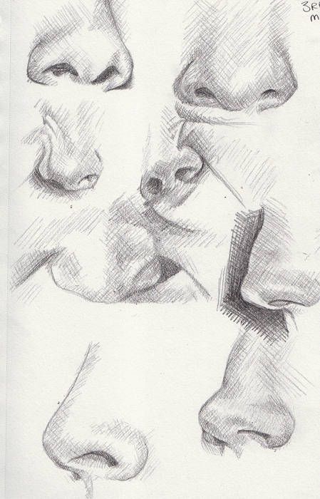 March 4th by Khantinka on DeviantArt Ako Kresliť, 얼굴 드로잉, Nose Drawing, 얼굴 그리기, Anatomy Drawing, Different Angles, The Nose, Art Instructions, A Pencil