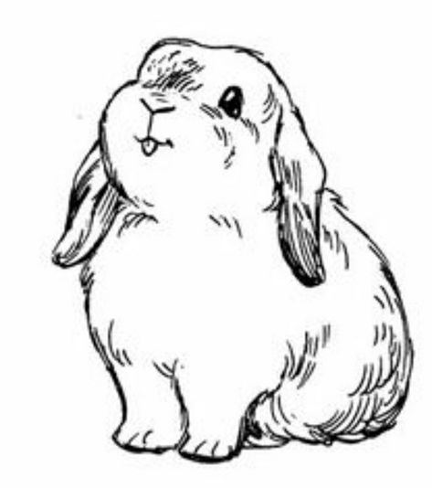 Bunny Tattoos, Bunny Art, Not Mine, Dm Me, Filter, Black And White, Tattoos, White, Black