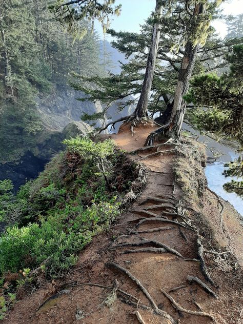 Southern Oregon Coast, Oregon Trip, Natural Bridge, Southern Oregon, Pretty Landscapes, Oregon Travel, Crashing Waves, The Pacific Ocean, Oregon Coast