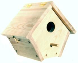 Wren Bird House, Birdhouse Plans, Bird House Plans Free, Wren House, Bird Feeder Plans, Wren Bird, Homemade Bird Houses, Bird House Feeder, Bird House Plans