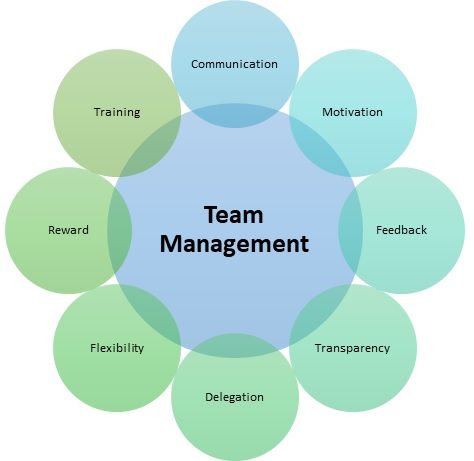 Team management is a concept where a group or team of individuals is brought together to perform any given task under a leadership or management. Team management is an important concept in every field where individuals with different skills work together to achieve a common goal. In business, team management is the collective and orchestrated effort of all employees to achieve organization objectives. Team Lead Responsibilities, Team Management Tools, Teamwork Activities, Marketing Digital Social Media, Team Dynamics, Feed Layout, Team Quotes, Child Life Specialist, Team Organization