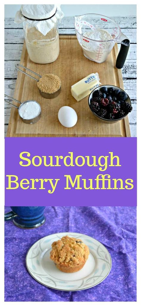 Everything you need to make these tasty Sourdough Berry Muffins! #sourdoughrecipes #berryrecipes #muffinsrecipes | Sourdough Recipes | Sourdough Discard Recipes | Berry Recipes | Blueberry Recipes | Blackberry Recipes | Muffin Recipes | Breakfast Recipes | Muffin Monday | Bread recipes | Muffin Recipes Breakfast, Muffin Monday, Mixed Berry Muffins, Berry Toast, Sourdough Discard Recipes, Sourdough Muffins, Breakfast Muffin, Berry Recipes, Blackberry Recipes