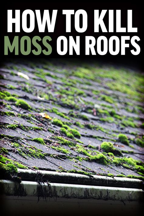 Moss Removal, Diy Roofing, Diy Moss, Garage Door Makeover, Roof Maintenance, Diy Garage Door, Outdoor Cleaning, Roof Cleaning, Cleaning Techniques