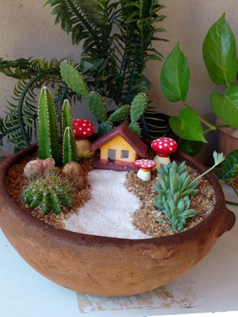 Mini Rock Garden Ideas, Miniature Succulent Garden, Cactus Fairy Garden, Decoracion Suculentas Ideas, Terrarios Suculentas Ideas, Plant Stand Ideas Indoor, Mini Cactus Garden, Plant Stand Ideas, Shelves Rack