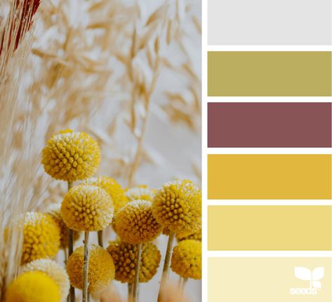 Design Seeds: Color Nature Seeds Color, Color Palette Challenge, Mood Colors, Autumn Nature, Colorful Portrait, Design Seeds, Colour Field, Nature Images, Color Pallets