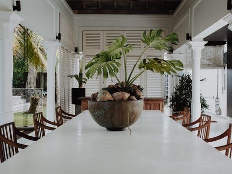 4 Friends Restored a Crumbling 1912 Mansion in Sri Lanka: Photos British Colonial Dining, Tropical British Colonial Style, British Colonial Interiors, West Indies Decor, Tropical British Colonial, Bali Style Home, Pool Pavilion, British Colonial Decor, Colonial Kitchen