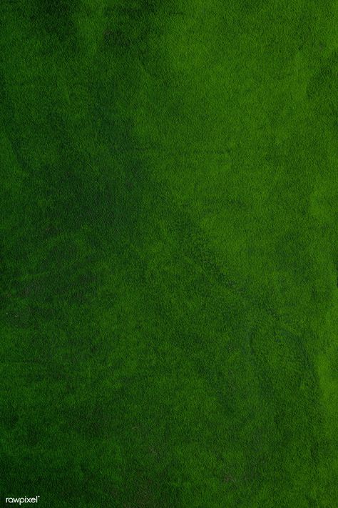 Grunge green concrete textured background | free image by rawpixel.com / marinemynt Green Concrete, Artificial Grass Rug, Artificial Grass Carpet, Concrete Wall Texture, Green Grass Background, Artificial Grass Wall, Decent Wallpapers, Green Terrace, Grass Carpet