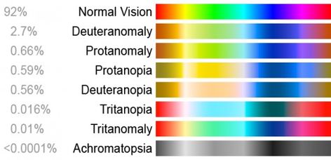 Color blindness spectrum for the different sigh sicknesses and its visive result Color Vision Deficiency, Birth Colors, Minted Art, Color Vision, Types Of Colours, Color Test, Color Blind, Used Tools, Teaching Tools