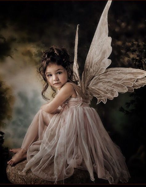 Fairy Photography, Fairy Photoshoot, Fairies Photos, Fairy Pictures, Baby Fairy, Fantasy Photography, Foto Baby, Angel Pictures, Beautiful Fairies