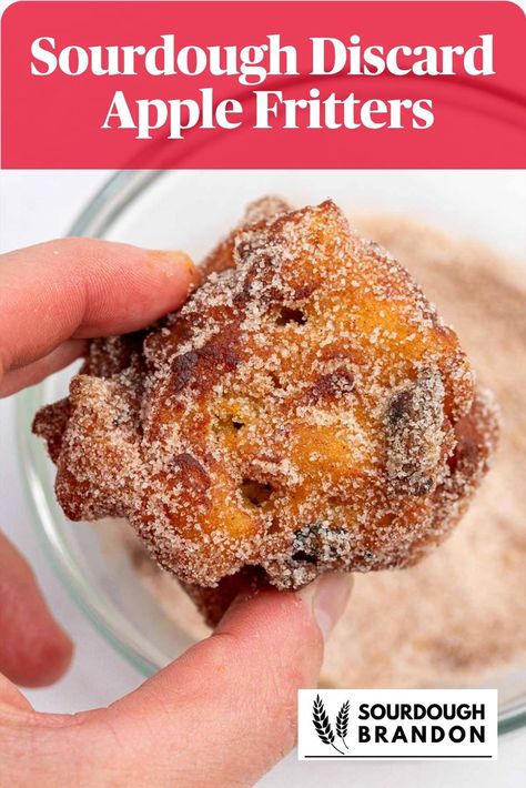 Hand holding a sourdough apple fritter with a cinnamon sugar topping Sourdough Apple Fritters, Sourdough Discard Apple, Use Sourdough Discard, Sourdough Apple, Baked Apple Fritters, Fried Bread Recipe, Recipe Using Sourdough Starter, Fried Apple Pies, Sourdough Bread Starter