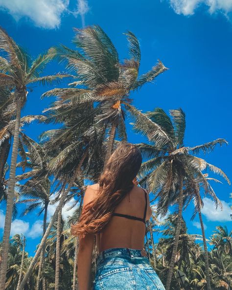 Freedom Palm Tree Instagram Pictures, Photo With Palm Tree, Palm Tree Pictures Poses, Palm Tree Photo Ideas, Palm Tree Picture Ideas, Hawaii Photo Ideas Instagram, Pictures With Palm Trees, Tropical Vacation Poses, Tropical Vacation Photo Ideas