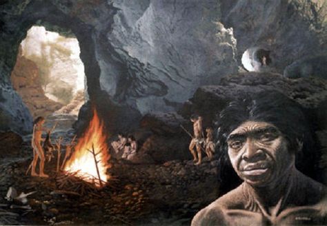 China finds new evidence for use of fire by 'Peking Man' Peking Man, Early Man, Dragon Bones, Early Humans, Bigfoot Sasquatch, Animal Bones, Historical Art, Ancient Aliens, Art Google