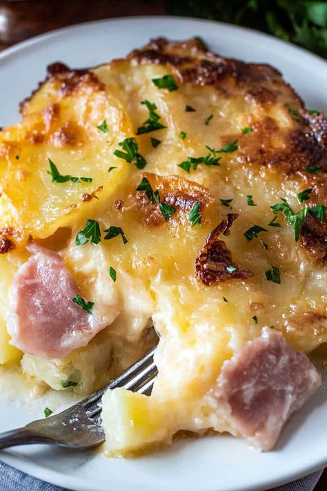 Ham and Potato Au Gratin Ham And Potato Au Gratin Casserole, Potatoes Au Gratin With Ham, Ham And Augratin Potatoes, Ham Augratin Potatoes, Ham And Potatoes Au Gratin, Au Gratin Potatoes With Ham, Potatoes And Ham Recipes, Ham And Potato, Dinner Recipes With Ham